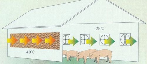 养殖畜牧行业通风降温方案
